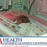 Demetria joined the competition — help win amazing prizes! newborn, baby, incubator, hospital, medical_equipment, blanket, pink, neonatal_intensive_care, patient, crib, infant, healthcare, bed, sleeping, premature, child, care, wrapped, quiet, resting