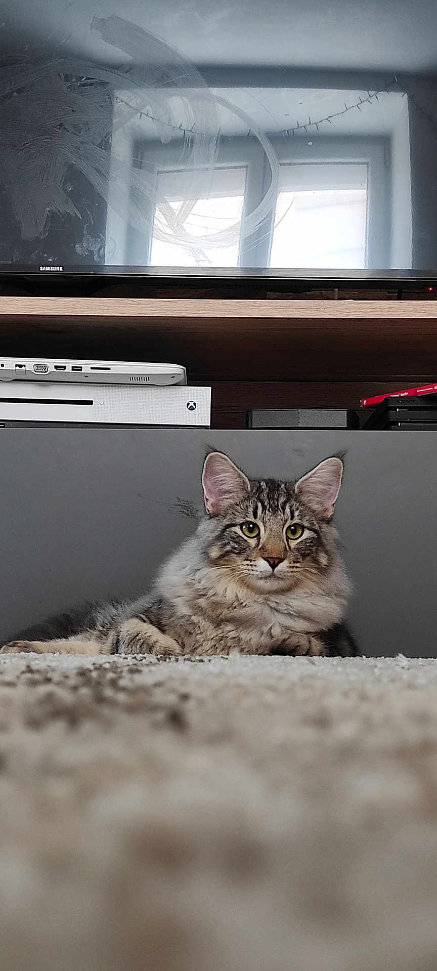 Wilson