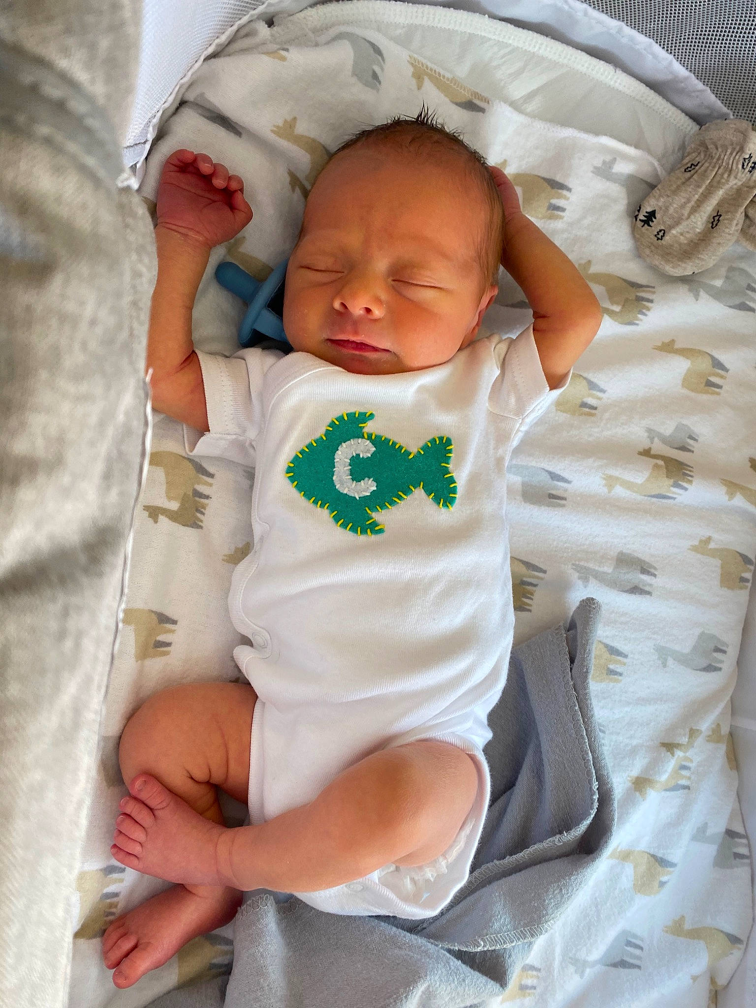 Chesley is registered to the contest to win money with this photo: baby, baby_products, baby_safety, baby_sleeping, baby_toddler_clothing, child, comfort, nap, person, product, sleep, toddler