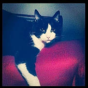 Isabel joined the competition — help win amazing prizes!