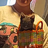 Church joined the competition — help win amazing prizes! kitten, cat, gray_cat, basket, woven_basket, person, portrait, indoor, home, pink_hair, graphic_t_shirt, painted_nails, hands, sitting, cute, pet, animal, close_up, warm_lighting, colorful
