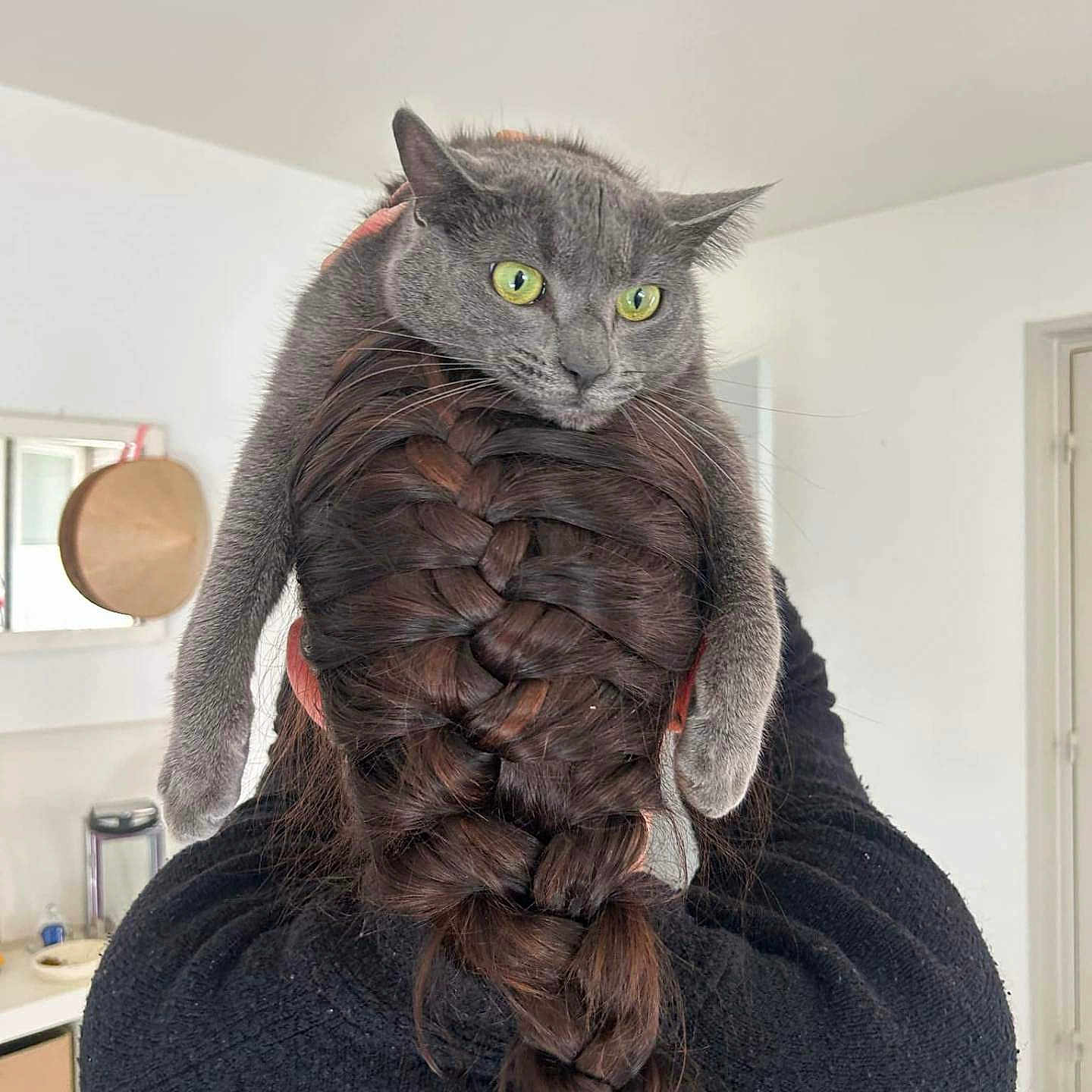 Nala