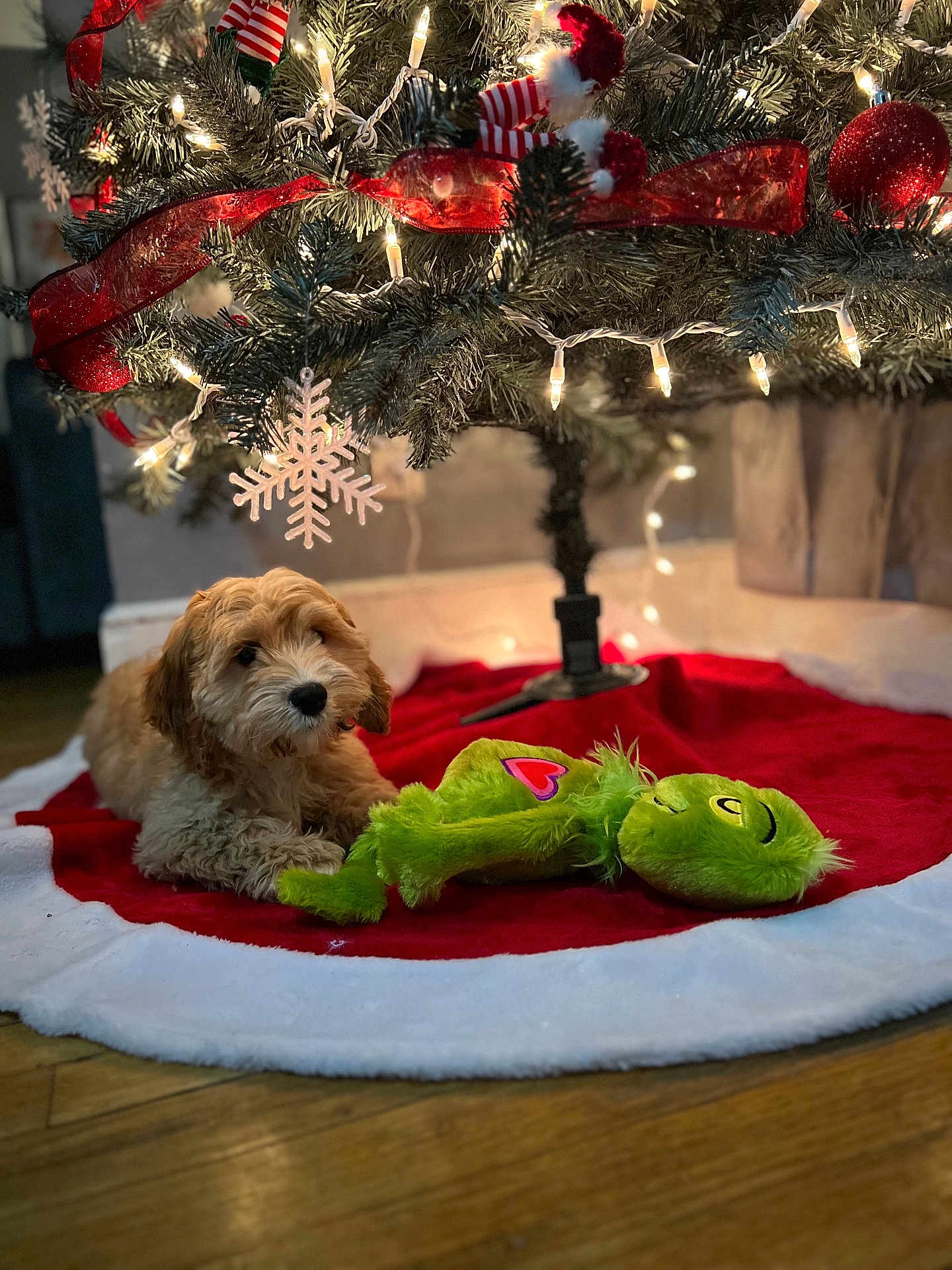 Cooper joined the competition — help win amazing prizes! puppy, dog, christmas_tree, christmas_lights, ornament, red_ribbon, tree_skirt, plush_toy, green_toy, holiday, festive, indoor, wooden_floor, decorations, snowflake_ornament, pet, cute, furry, relaxed, cozy