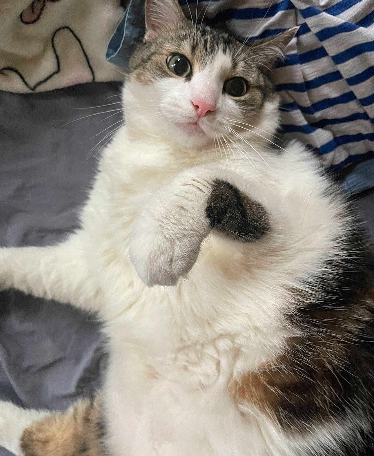 Milo