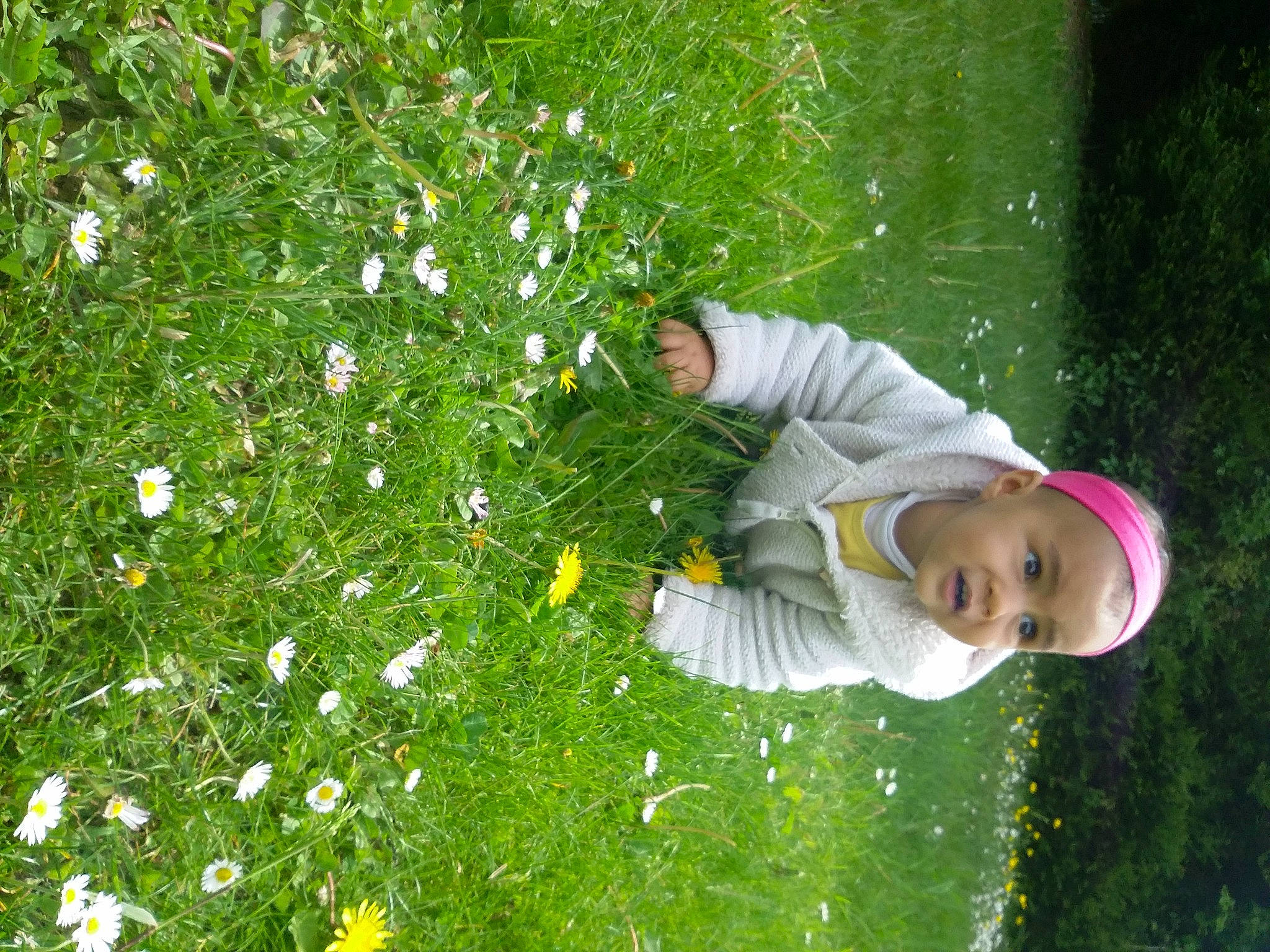 Aina a rejoint le concours — aidez-le/la à gagner de superbes lots ! annual_plant, botany, chamaemelum_nobile, flower, flowering_plant, grass, grass_family, grassland, green, groundcover, happy, lawn, leaf, leisure, meadow, people_in_nature, person, petal, plant, shrub