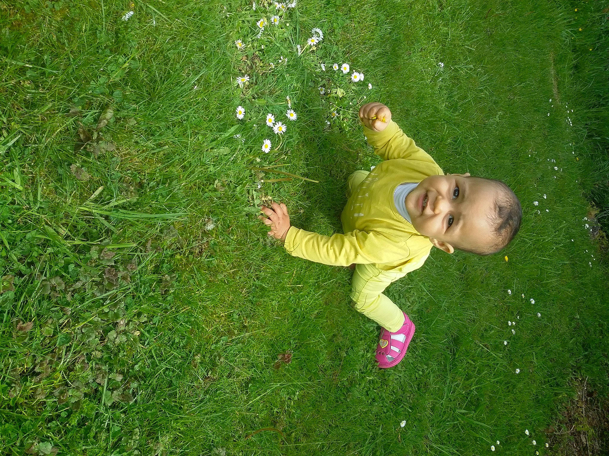Aina participe au concours pour gagner de l'argent avec cette photo : baby, baby_toddler_clothing, child, flower, fun, garden, grass, grass_family, grassland, groundcover, happy, lawn, leisure, meadow, people_in_nature, person, plant, recreation, shrub, terrestrial_plant