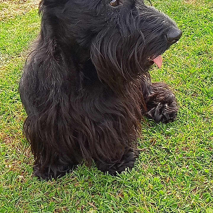 Rox