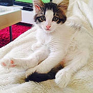 Pamela a rejoint le concours — aidez-le/la à gagner de superbes lots !