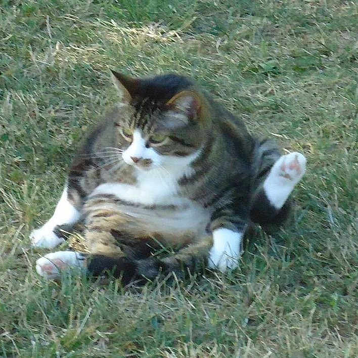 Nipper joined the competition — help win amazing prizes!