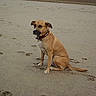 Princesse participe au concours pour gagner de l'argent avec cette photo :