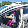 car, car_interior, carseat, child, clothing, cushion, face, female, footwear, girl, head, homedecor, person, photography, portrait, sedan, shoe, sitting, transportation, vehicle