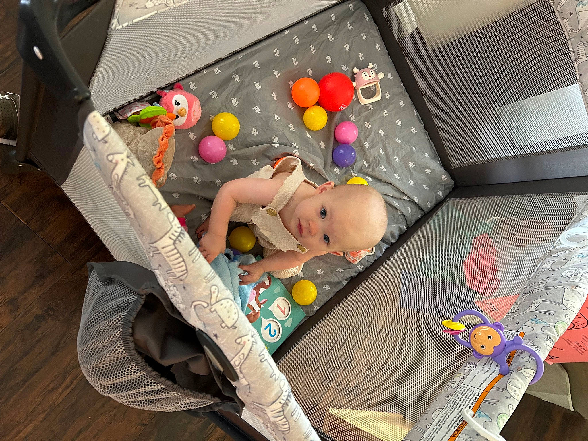 Rose joined the competition — help win amazing prizes! art, baby_products, baby_toys, box, car_seat, child, drawer, packing_materials, pattern, person, plastic, room, stuffed_toy, tableware, toy, wood