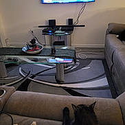 Pookey joined the competition — help win amazing prizes! bowl, cable, cat, coffee_table, couch, decor, electronics, flooring, furniture, home, indoor, living_room, pet, relaxing, remote_control, rug, soft_lighting, speaker, television, wall_mount