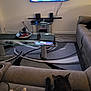 bowl, cable, cat, coffee_table, couch, decor, electronics, flooring, furniture, home, indoor, living_room, pet, relaxing, remote_control, rug, soft_lighting, speaker, television, wall_mount