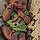 Karsyn Renee Horton