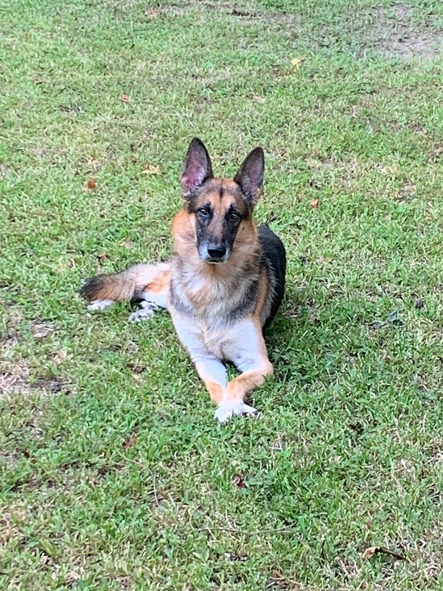 Max