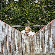 Tallulah is registered to the contest to win money with this photo: blond_hair, casual_clothing, child, curious, daylight, fence, gravel, greenery, heart_shape, leaves, nature, outdoor, person, playful, portrait, rustic, smiling, toddler, wooden_fence, young_child