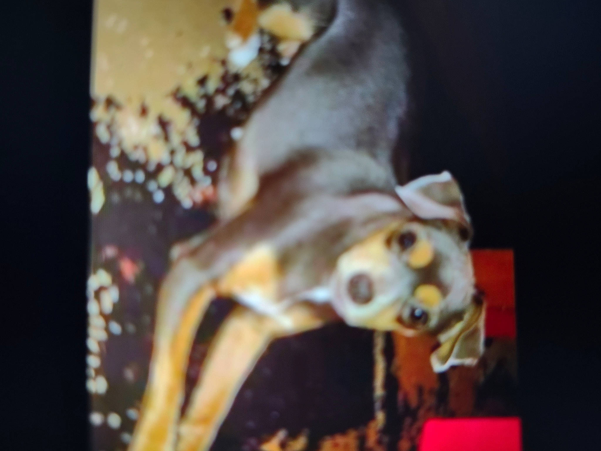 Sugar Hutton joined the competition — help win amazing prizes! animal_figure, art, artifact, darkness, event, fawn, felidae, figurine, flesh, jaw, macro_photography, metal, sculpture, snout, tail, terrestrial_animal, toy, visual_arts, wood, working_animal