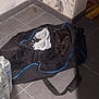 animal, bag, black_cat, container, corner, cozy, domestic, flooring, household, indoor, kitten, pet, quiet, resting, shadow, shoes, small, tile_floor, wall_art, water_bottles