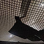 animal, black_cat, cat, ceiling, cozy, dark, furniture, geometry, hammock, indoor, light, mesh, net, pattern, pet, quiet, resting, room, shadow, suspended