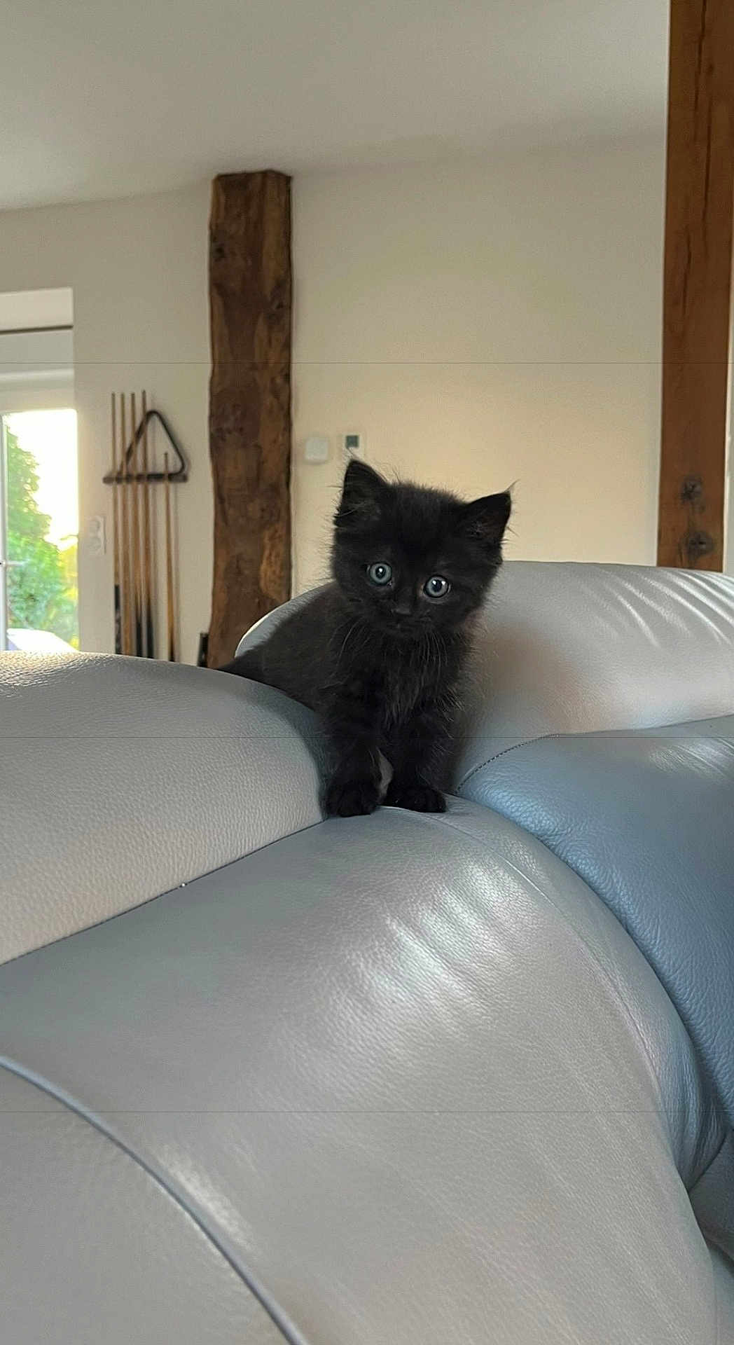 Nova
