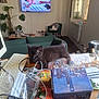 black_cat, cables, chair, clutter, curious, desk, glass, indoor, keyboard, kitten, living_room, paper, pet, plant, remote_control, snacks, sofa, television, tin_box, window
