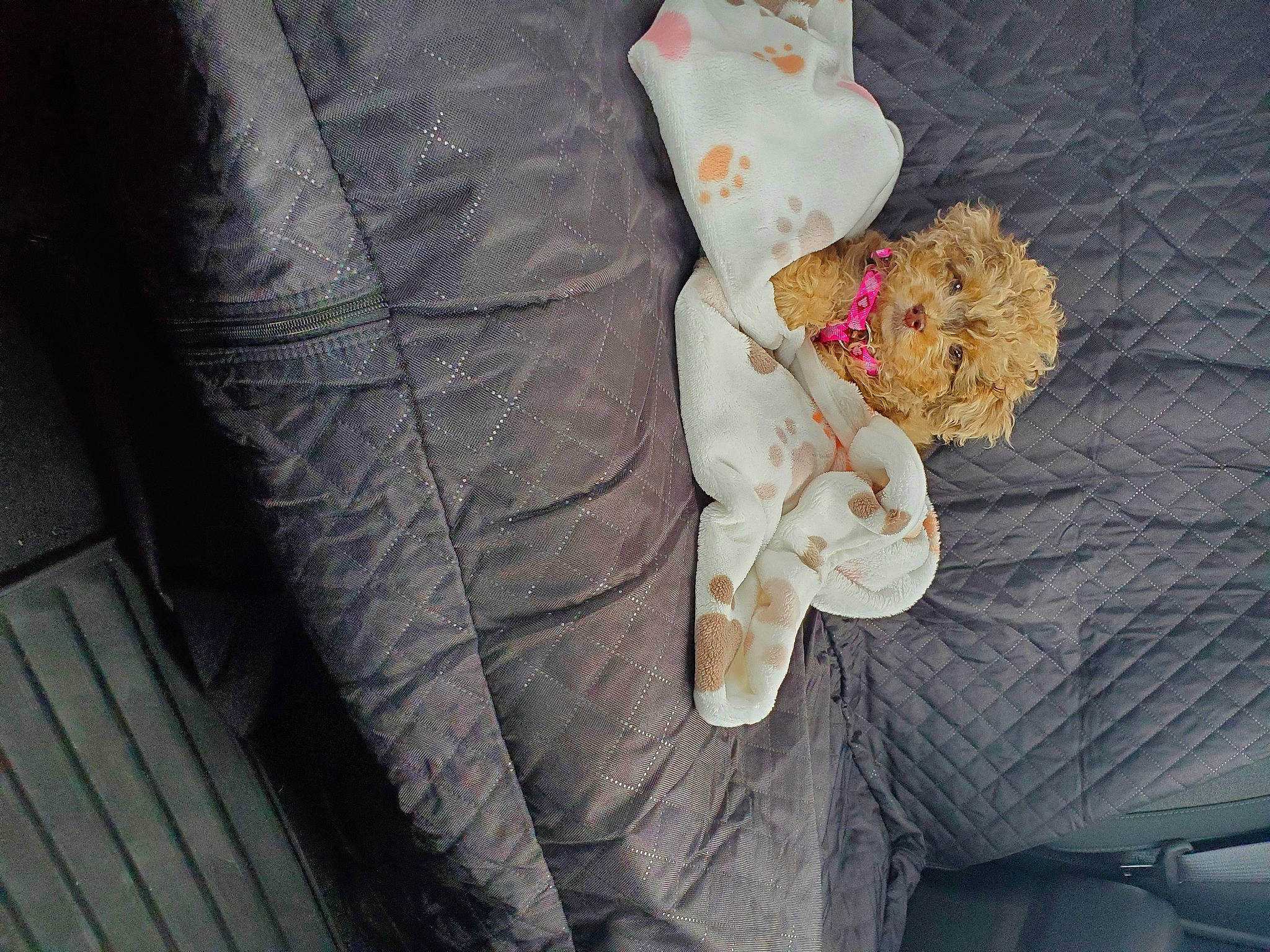 Jovie is registered to the contest to win money with this photo: hand, leg, textile