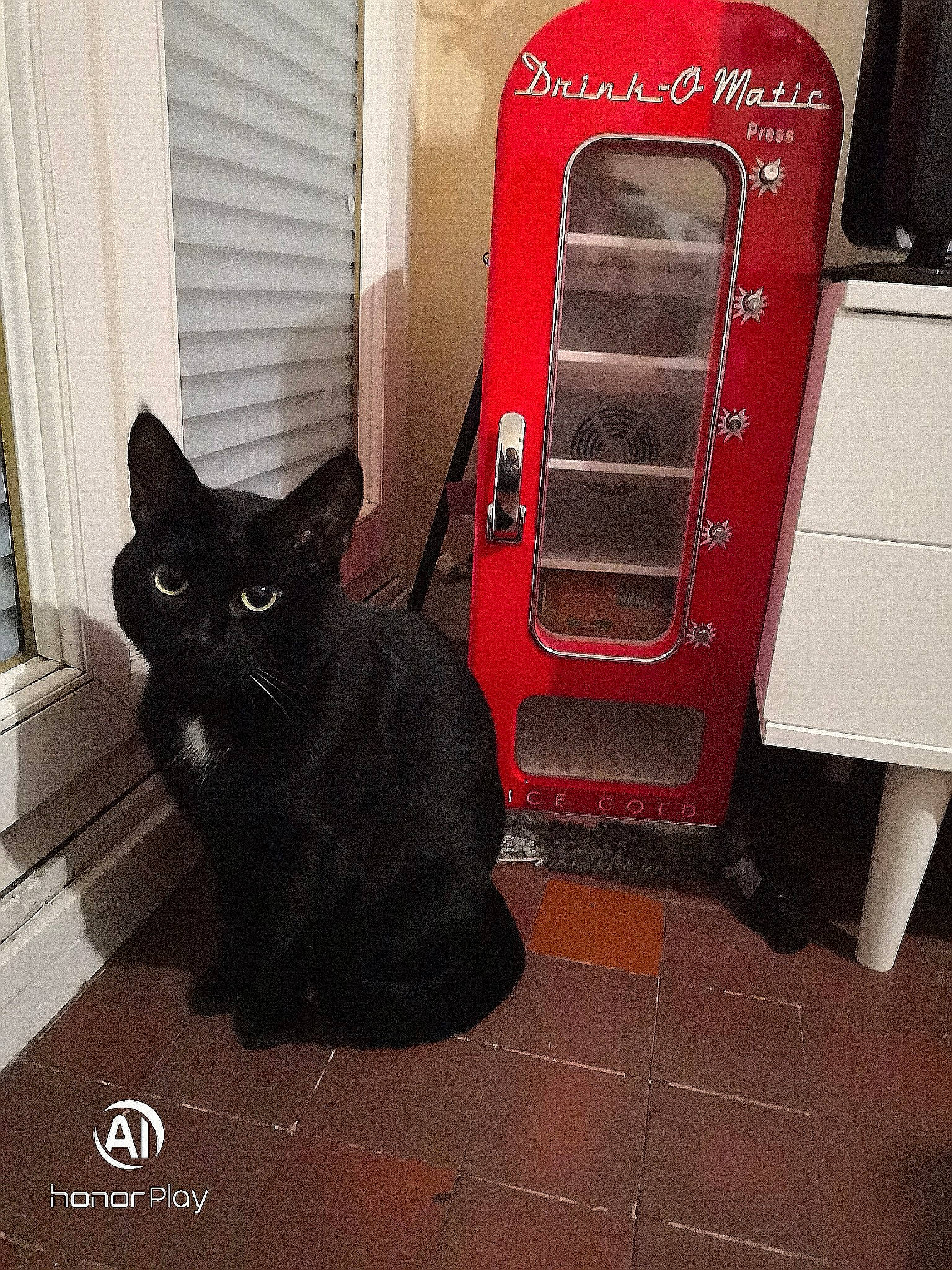 Tattoo participe au concours pour gagner de l'argent avec cette photo : black_cat, carnivore, cat, felidae, room, small_to_medium_sized_cats, whiskers