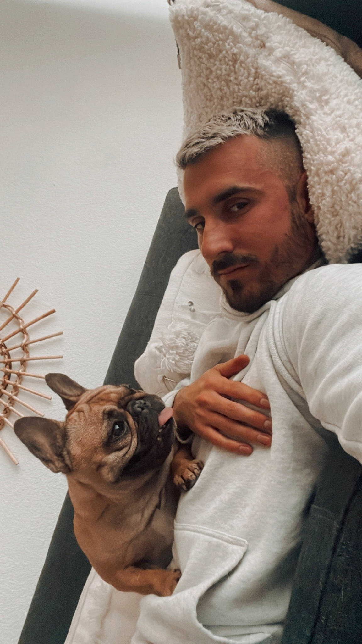 Simone a rejoint le concours — aidez-le/la à gagner de superbes lots ! beard, cap, carnivore, companion_dog, dog, dog_breed, ear, facial_hair, fawn, hair, hairstyle, happy, human, jewellery, moustache, organ, skin, snout, whiskers, working_animal