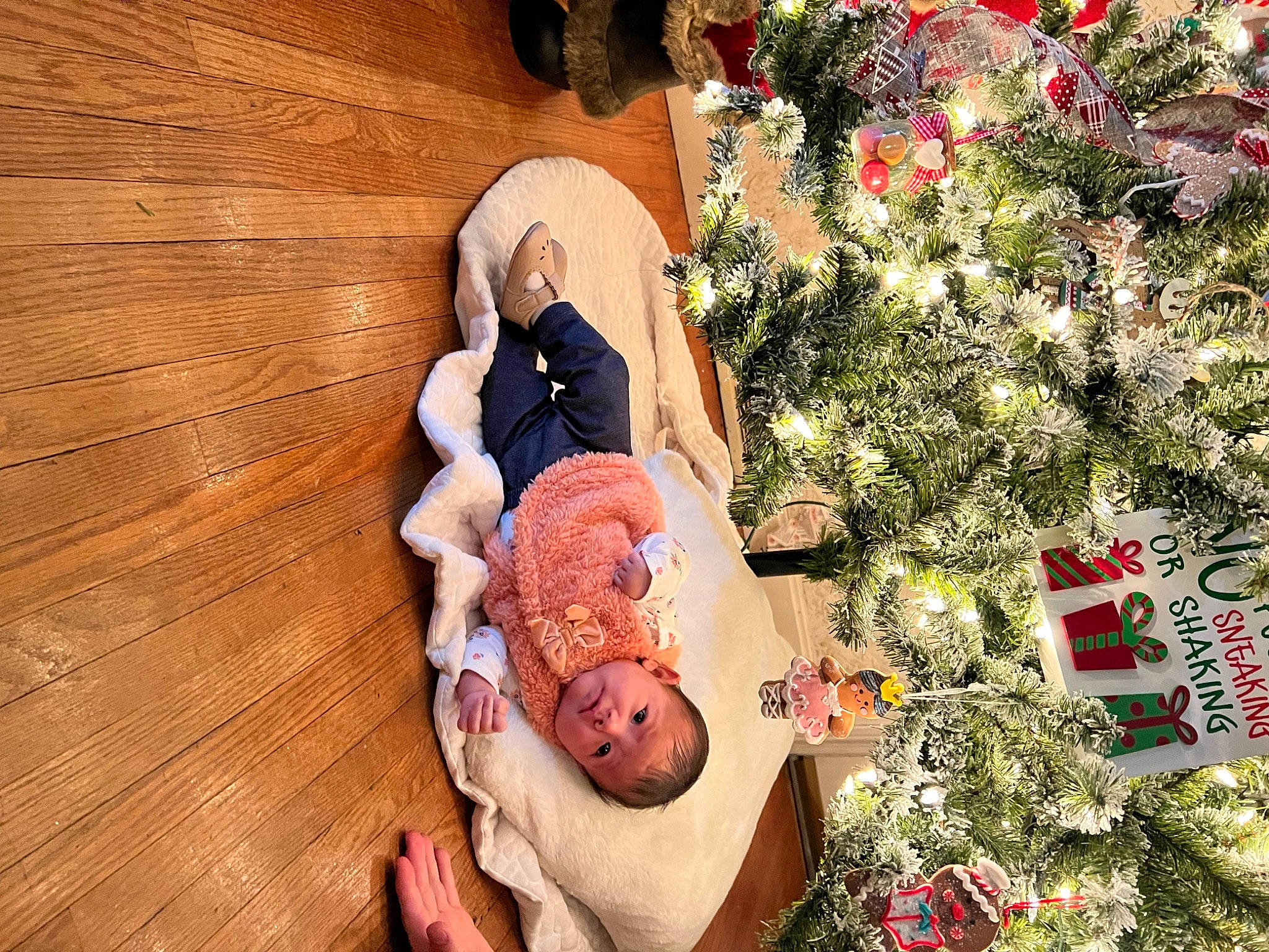 Nalani joined the competition — help win amazing prizes! christmas, christmas_decoration, christmas_eve, christmas_ornament, christmas_tree, event, flower, foot, grass, happy, hardwood, holiday, holiday_ornament, ornament, person, pink, plant, red, tree, wood