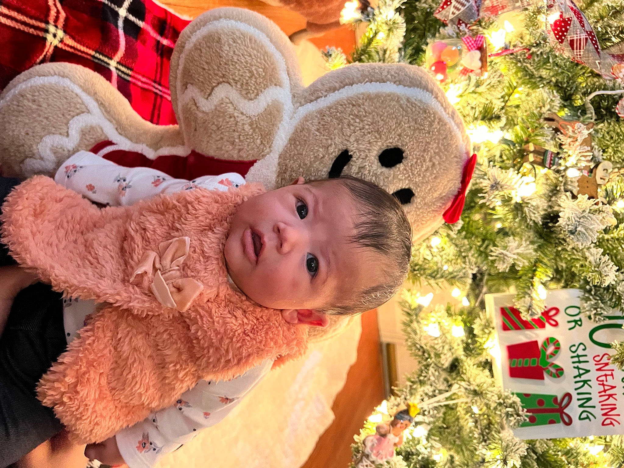 Nalani is registered to the contest to win money with this photo: art, baby, cap, child, christmas_ornament, christmas_tree, conifer, event, fun, grass, happy, hat, holiday, holiday_ornament, ornament, person, stuffed_toy, toddler, toy, tradition