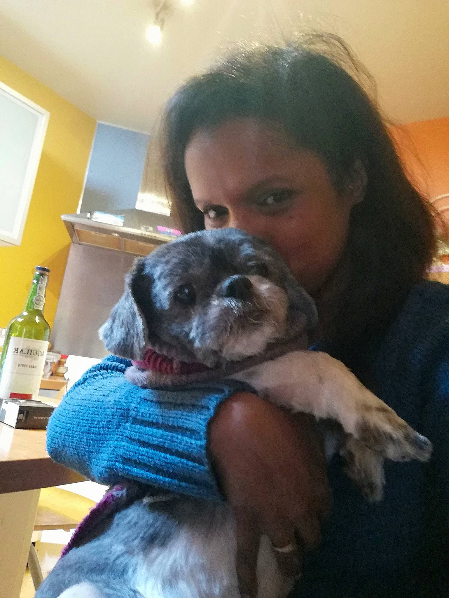 Sweety a rejoint le concours — aidez-le/la à gagner de superbes lots ! bottle, canidae, carnivore, comfort, companion_dog, dog, dog_breed, ear, fawn, fur, liver, mammal, puppy_love, skin, snout, sporting_group, toy_dog, vertebrate, water_bottle, working_animal