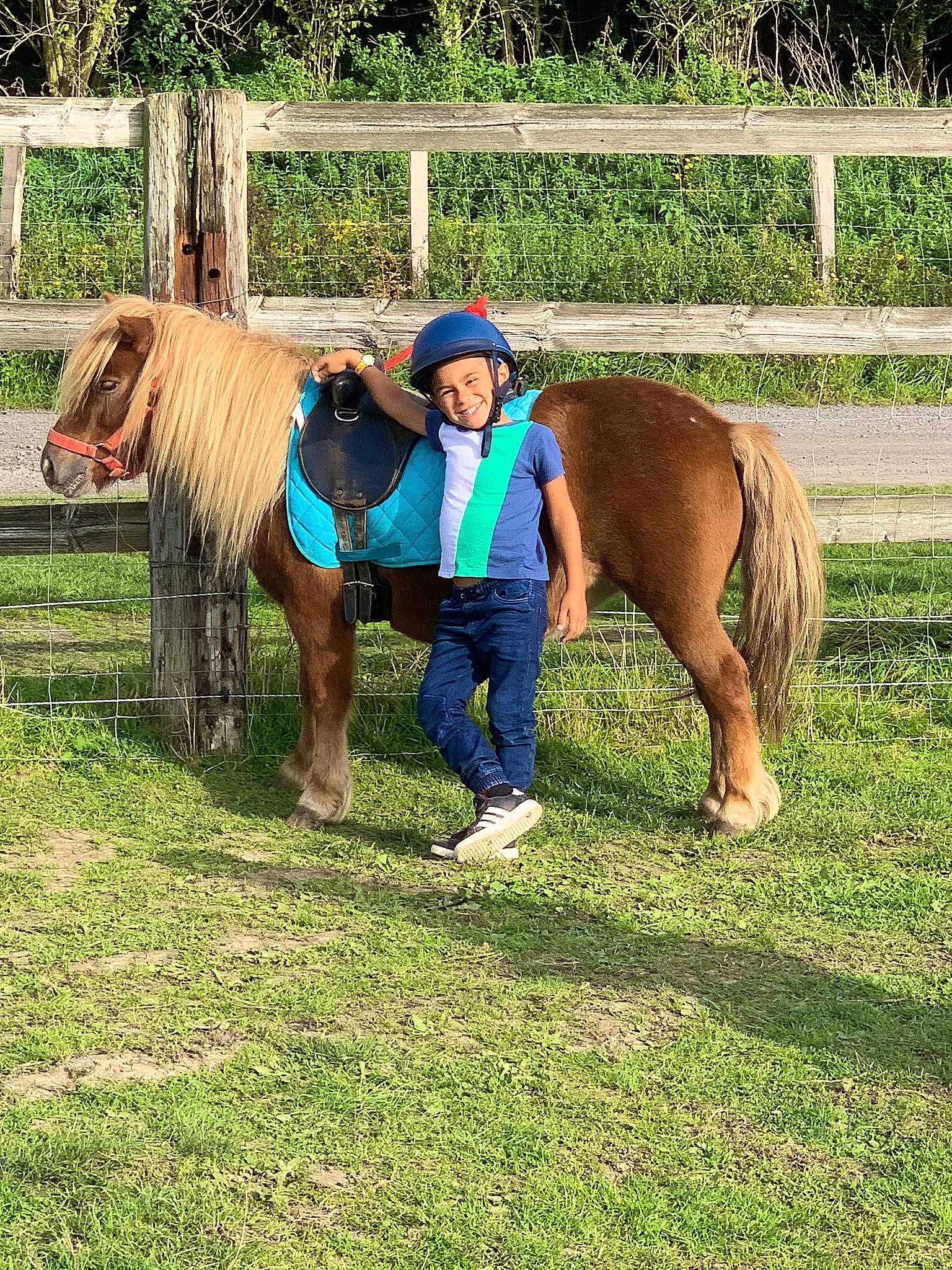 Ilyes participe au concours pour gagner de l'argent avec cette photo : bridle, ecoregion, fence, grass, grassland, headwear, horse, horse_supplies, horse_tack, joy, landscape, leisure, livestock, mane, meadow, pack_animal, person, plant, recreation, rural_area
