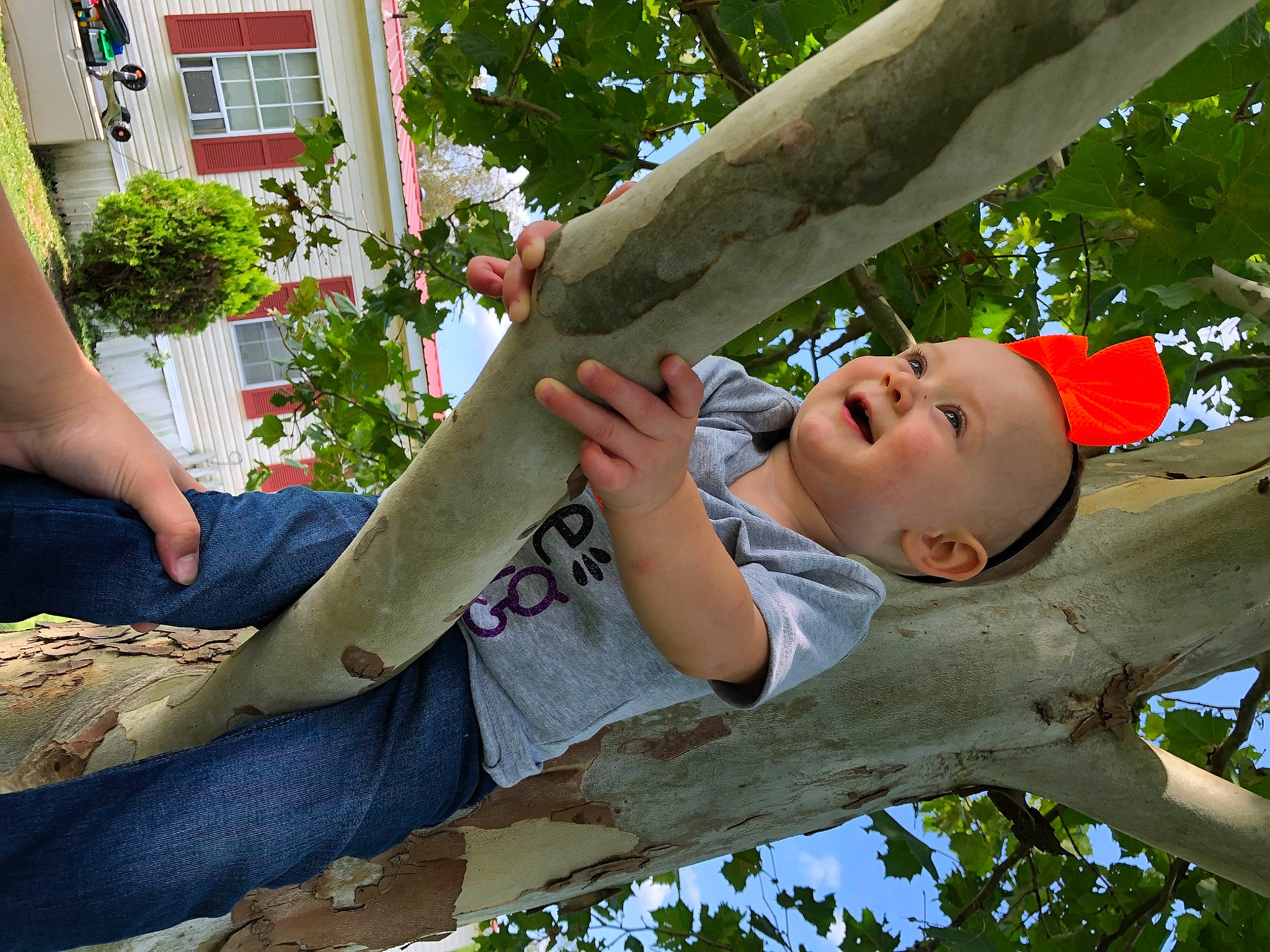 Delilah joined the competition — help win amazing prizes! adaptation, branch, child, leisure, person, plant, tree, vacation