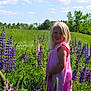 child, girl, flower_field, lupine, pink_dress, smiling, blonde_hair, outdoor, nature, greenery, sunlight, blue_sky, clouds, grass, summer, portrait, happy, standing, plants, meadow