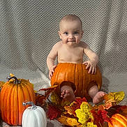 Freddie joined the competition — help win amazing prizes! autumn, baby, blanket, child, cute, decorative_pumpkin, fall_leaves, festive, holiday, holiday_decor, indoors, orange, playful, portrait, pumpkin, seasonal, sitting, smiling, texture, white_pumpkin