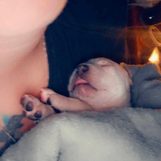 Puddin joined the competition — help win amazing prizes! abdomen, baby, baby_sleeping, chest, child, comfort, elbow, eyelash, finger, gesture, happy, human_leg, linens, mouth, muscle, nose, skin, thumb, toddler, trunk