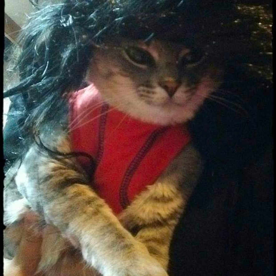 Gray Gray Girl