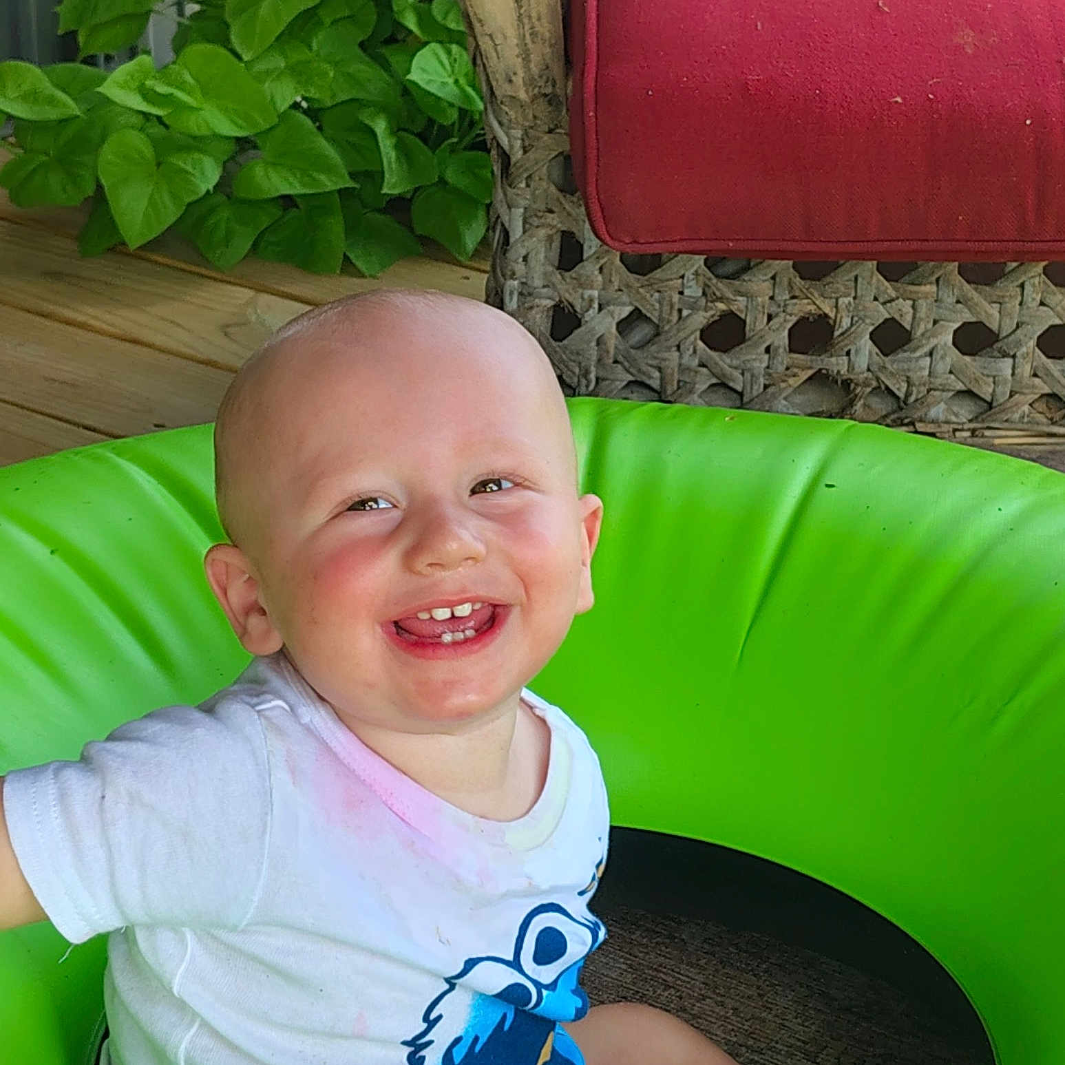 Zaidyn