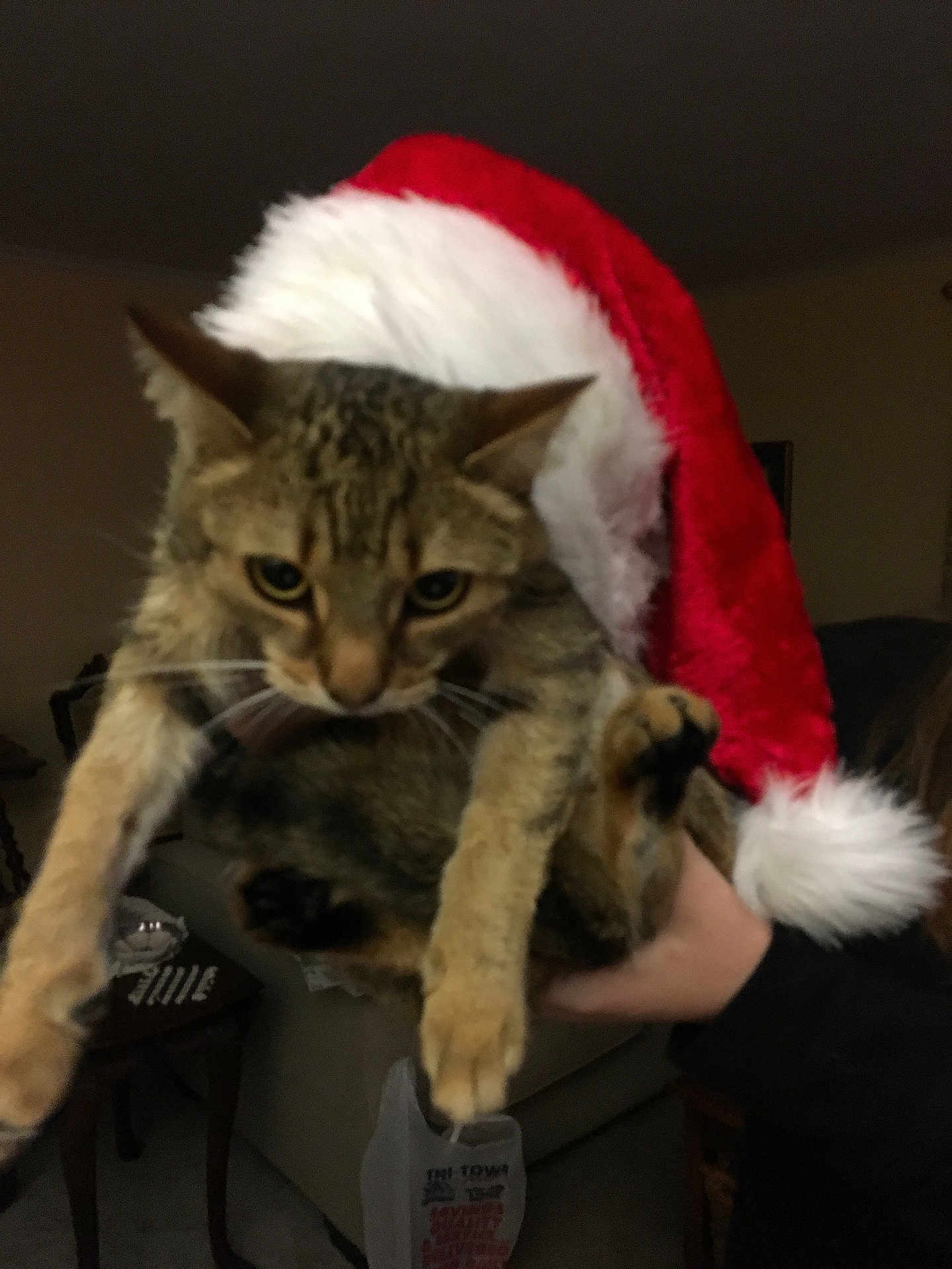 Nala