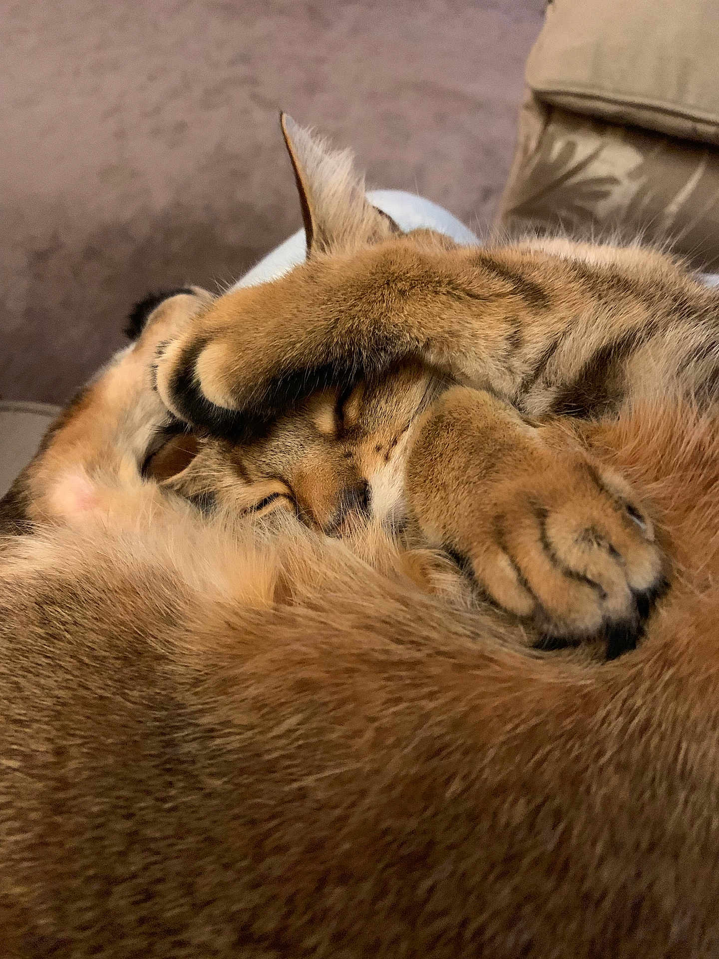 Nala