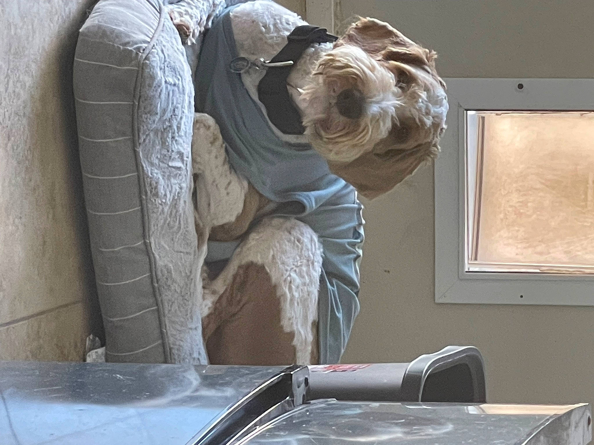 Maverick is registered to the contest to win money with this photo: art, auto_part, automotive_exterior, automotive_tire, automotive_window_part, bumper, elbow, flooring, glass, hood, machine, metal, room, sculpture, textile, vehicle_door, window, windscreen_wiper, windshield, wood