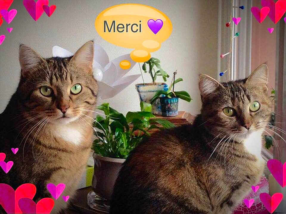 Poupouille Et Titi