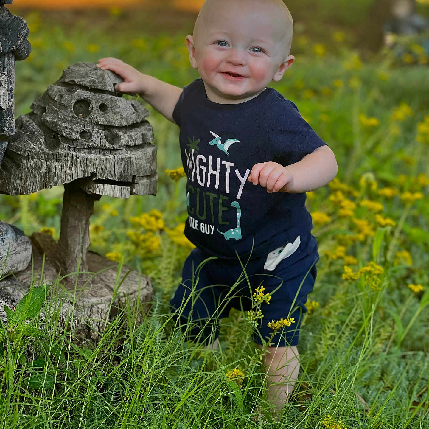 Leonidas is registered to the contest to win money with this photo: agaric, amanita, anemone, architecture, backyard, blonde, bodypart, boy, building, child, clothing, countryside, cream, cross, daisy, dessert, dress, face, farm, field