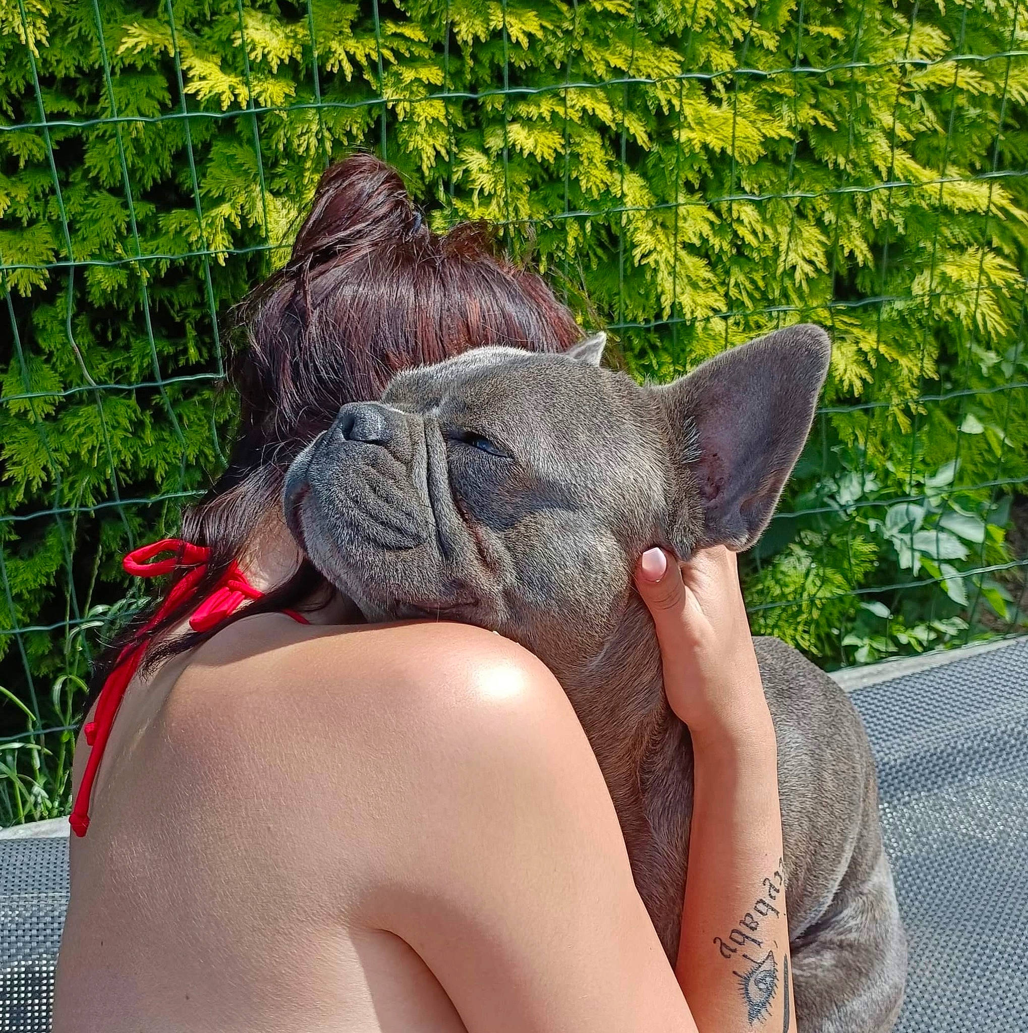 Djiro a rejoint le concours — aidez-le/la à gagner de superbes lots ! barefoot, fawn, flesh, foot, gesture, grass, human_leg, leisure, nail, organism, snout, sun_tanning, tail, terrestrial_animal, thigh, thumb, toe, vertebrate, working_animal, wrinkle