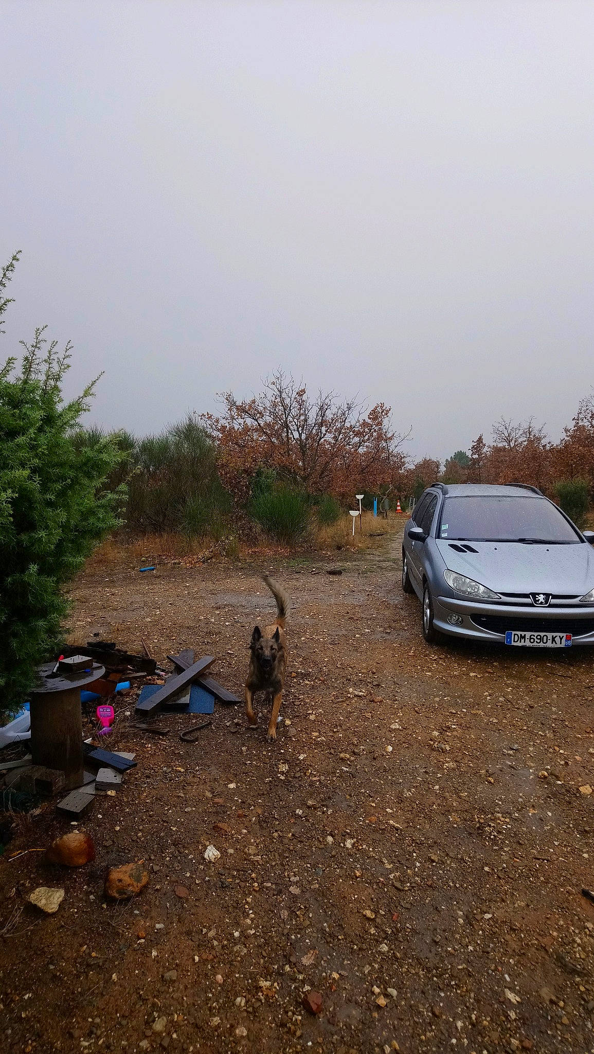 Letna a rejoint le concours — aidez-le/la à gagner de superbes lots ! car, dirt_road, family_car, geological_phenomenon, hatchback, land_lot, landscape, plant, plant_community, road, soil, tree, vehicle, woody_plant