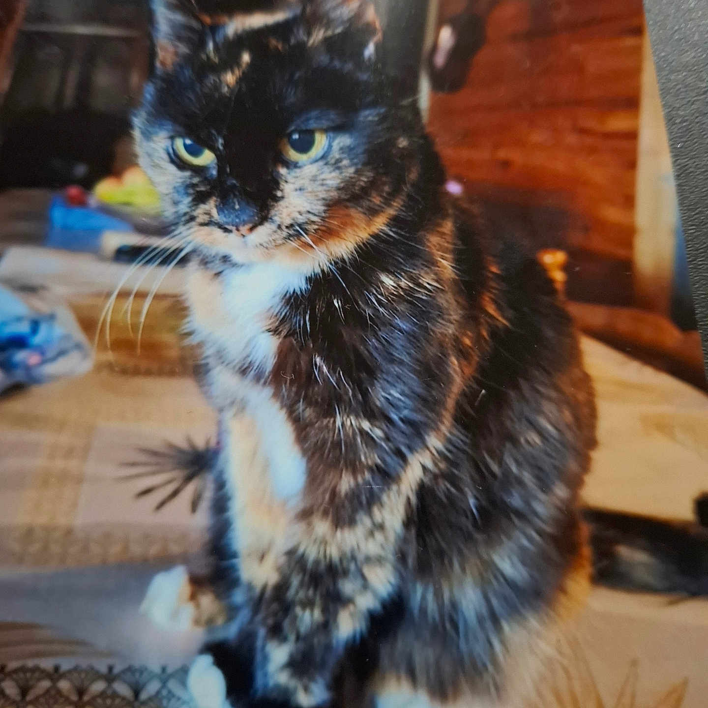 Cleo