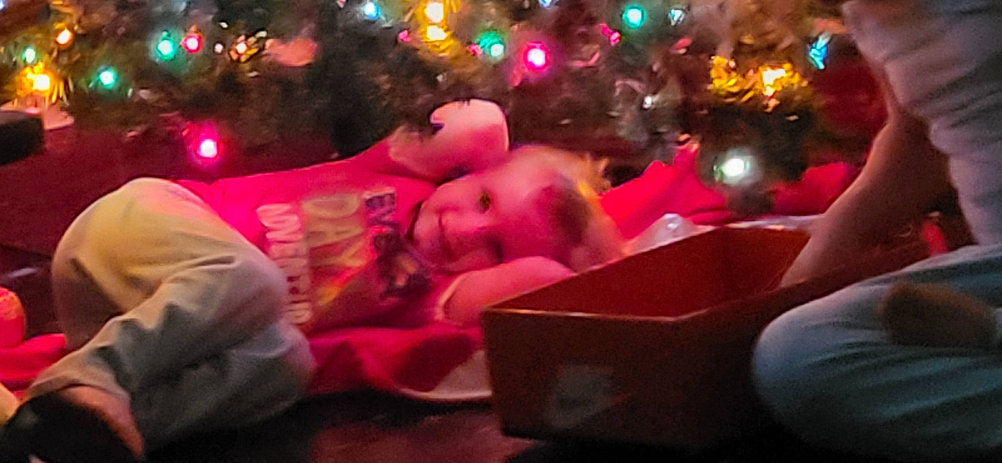 Ridleigh joined the competition — help win amazing prizes! christmas, christmas_decoration, christmas_eve, christmas_ornament, christmas_tree, conifer, event, fun, happy, holiday, holiday_ornament, joy, lap, magenta, ornament, person, pink, stuffed_toy, teddy_bear, toy