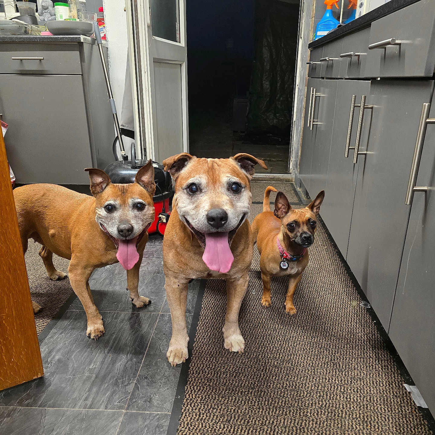Honey Ottis And Luna