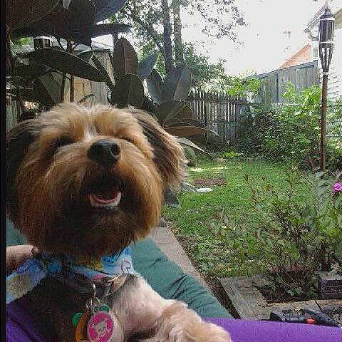 Dax is registered to the contest to win money with this photo: